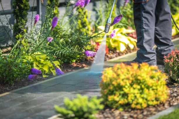 Best Patio and Deck Pressure Washing  in Biltmore, TN